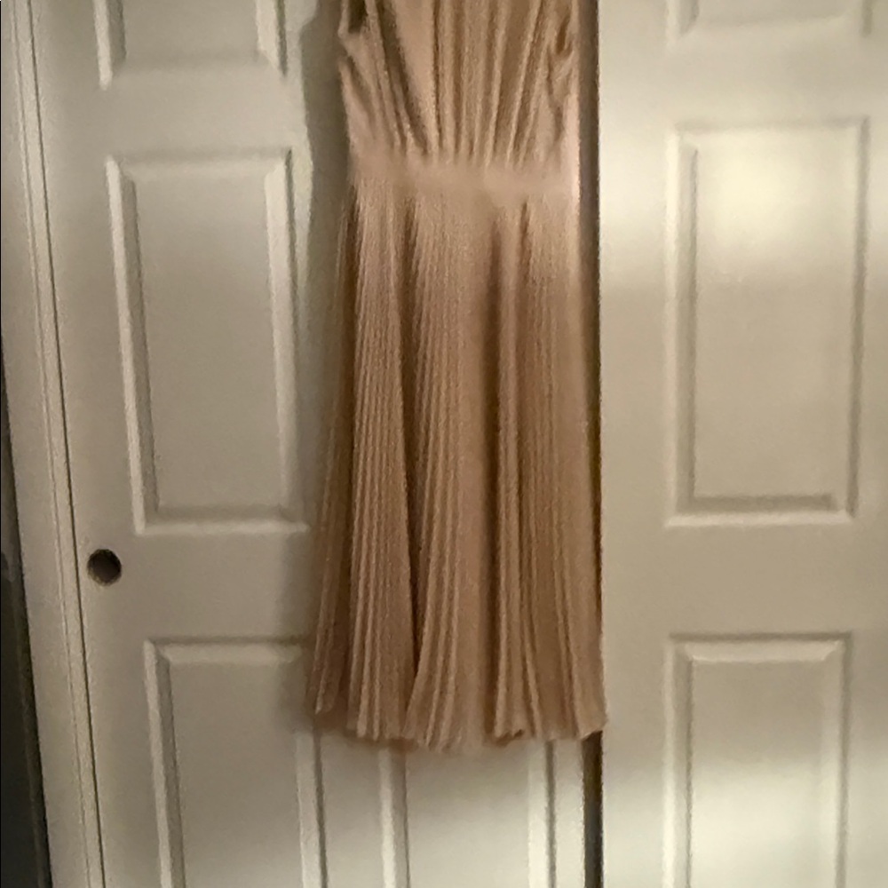 Reiss Blush Midi Dress - Picture 3 of 5